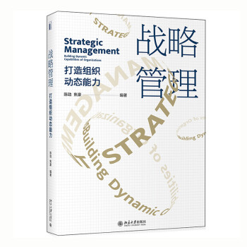 战略管理：打造组织动态能力 下载