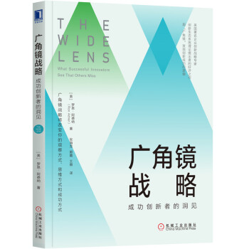 广角镜战略：成功创新者的洞见 [The Wide Lens: What Successful Innovators See That] 下载