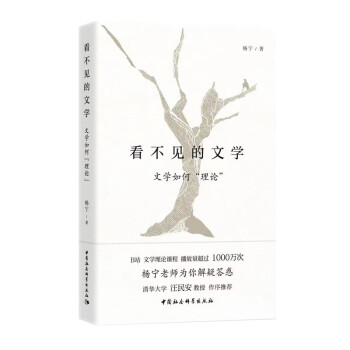 看不见的文学 （文学如何“理论”）网红老师 杨宁 B站播放量超过1000万次 下载