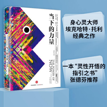当下的力量（白金版）埃克哈特·托利经典之作 张德芬推荐 下载