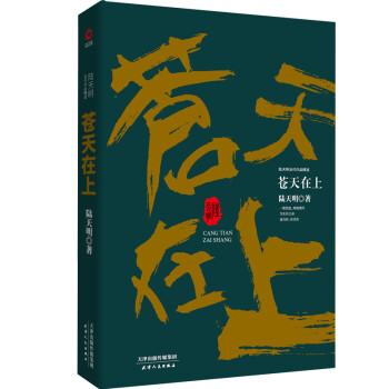 陆天明当代作品精选：苍天在上 下载