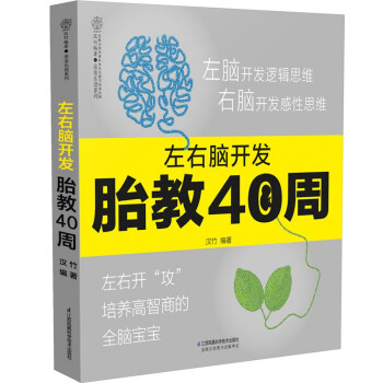 左右脑开发胎教40周（汉竹） 下载