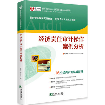 经济责任审计操作案例分析 下载