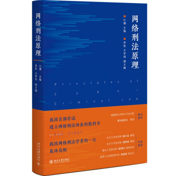 网络刑法原理 全面阐述了网络刑法的基本原理及整体性知识图景，填补了网络刑法研究的学术空白 下载