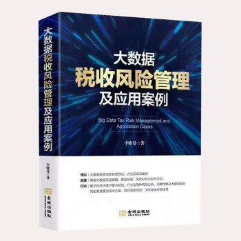 大数据税收风险管理及应用案例 下载