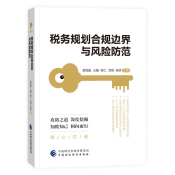 税务规划合规边界与风险防范 下载
