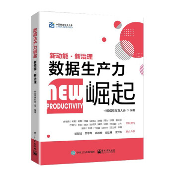 数据生产力崛起：新动能 新治理 下载
