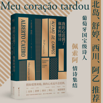 我的心迟到了：佩索阿情诗（北岛、舒婷、西川、阿乙推荐，葡萄牙诗人佩索阿情诗集结） 下载