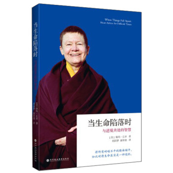 当生命陷落时：与逆境共处的智慧 下载