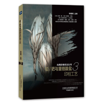 古典影像技法丛书-铂/ 钯与重铬酸盐印相工艺 下载