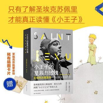 小王子的星辰与玫瑰：圣埃克苏佩里传（普利策奖得主斯泰西.希夫力作 再现“小王子之父”传奇人生） 下载