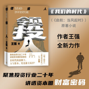 领投人 王强 圈子圈套作者新作 投资商场小说 下载