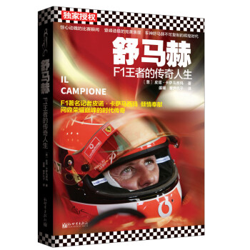 舒马赫：F1王者的传奇人生 下载