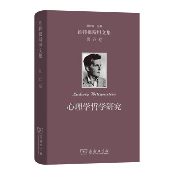 维特根斯坦文集·第6卷：心理学哲学研究 下载