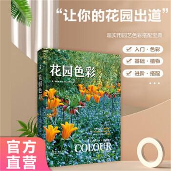 花园色彩 下载