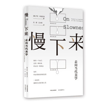 批判美学与当代艺术批评丛书·慢下来——走向当代美学 下载