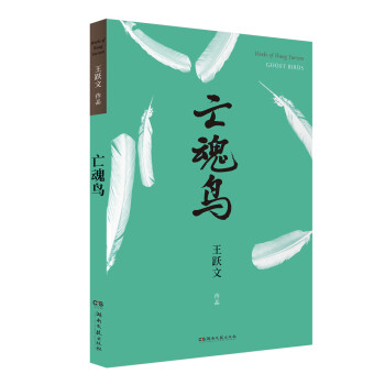 亡魂鸟 下载