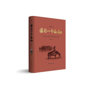 最后一个匈奴（高建群全集） 下载