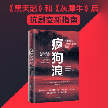 疯狗浪 如何应对突如其来的剧变 乔纳森·布里尔 著 建模预测和验证风险 继《黑天鹅》《灰犀牛》又一应对风险必读作品 下载