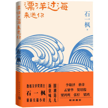 漂洋过海来送你 石一枫 亲情 北京 国潮 长篇小说 下载