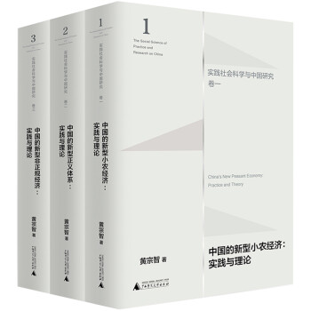 大学问·黄宗智·“实践社会科学与中国研究”三卷本（小农经济+正义体系+非正规经济） 下载