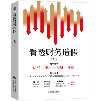 看透财务造假 下载