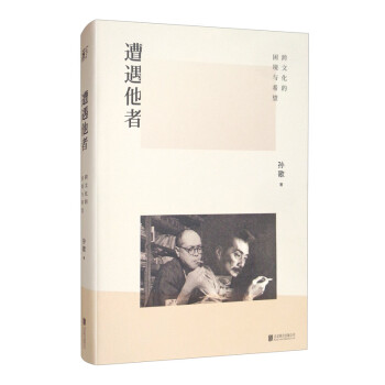 遭遇他者：跨文化的困境与希望 下载