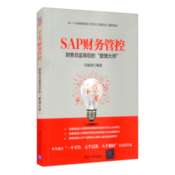 SAP财务管控——财务总监背后的“管理大师” 下载