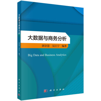 大数据与商务分析 下载