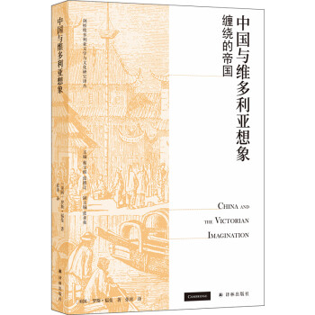 中国与维多利亚想象：缠绕的帝国/剑桥维多利亚文学与文化研究译丛 下载