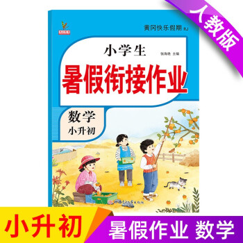 新版六年级下册 数学暑假作业 部编人教版 小升初年级暑假衔接作业（复习+预习） 下载