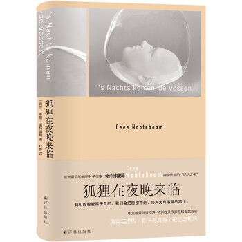 诺特博姆作品：狐狸在夜晚来临 下载