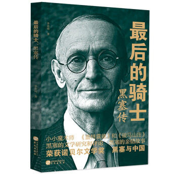 最后的骑士：黑塞传 下载