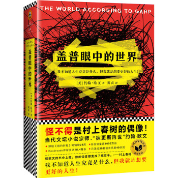 盖普眼中的世界 下载