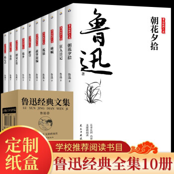 鲁迅经典文集全10册人民文学经典读本散文集杂文精选当代文学鲁文学经典小说 下载