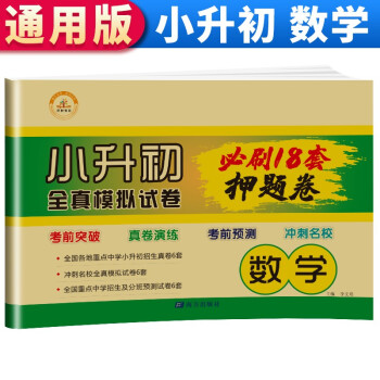 小升初全真模拟试卷必刷题18套押题卷 数学 小学毕业升学考系统总复习资料练习册六年级下册名校模拟试卷测试卷 小升初数学测试卷 下载