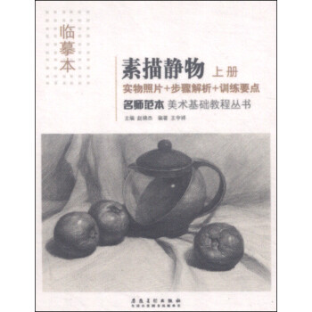 美术基础教程丛书 名师范本：素描静物（上册 临摹本） 下载