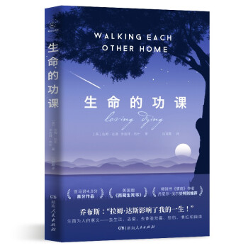 生命的功课（亚马逊4.8分高分作品，美国版《西藏生死书》） 下载