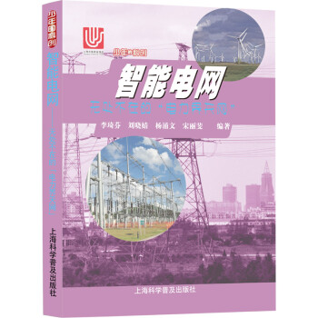 智能电网：无处不在的“电力界天网” 下载