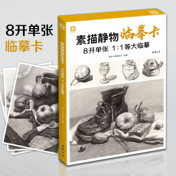 8开《素描静物临摹卡》范本组合画册集美术单个罐子道具结构解析照片写卡片校联考高考名师绘画示范正版图书籍 下载