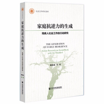 家庭抗逆力的生成：残疾人社会工作的行动研究 下载