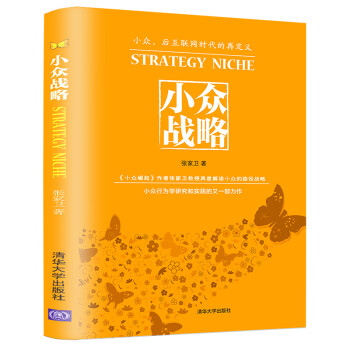 小众战略 下载