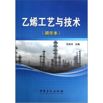 乙烯工艺与技术（精华本） 下载
