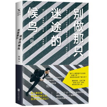 刘同：别做那只迷途的候鸟 下载