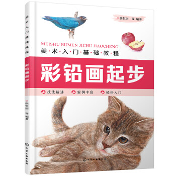 美术入门基础教程——彩铅画起步 下载