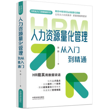 人力资源量化管理从入门到精通：图表指引版 下载