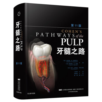 牙髓之路 第十一版 下载