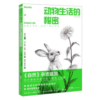 动物生活的秘密 下载