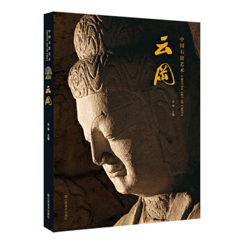 中国石窟艺术（云冈） 下载