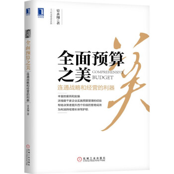 全面预算之美：连通战略和经营的利器 下载
